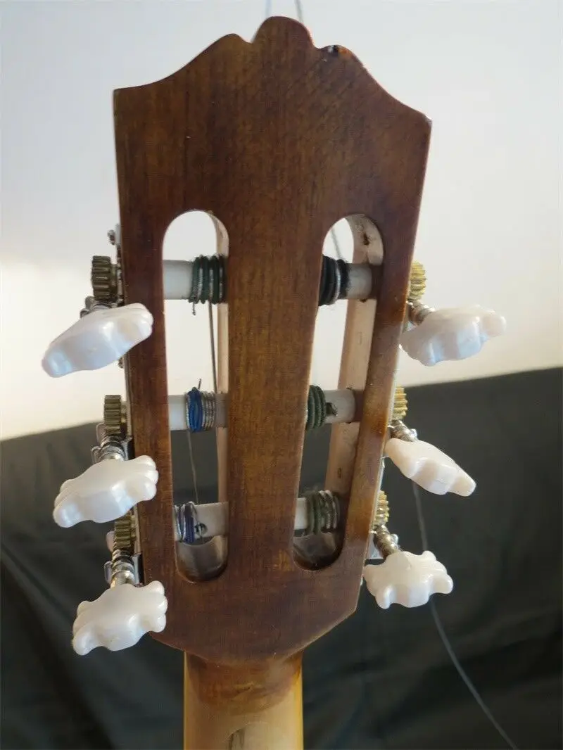 

SONG Maestro guitar head, 6 , 27 , viola da gamba