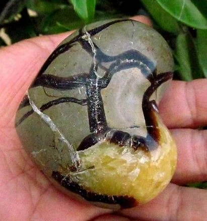 Натуральный Полированный септариевый дракон исцеление сердца|healing|healing stones |