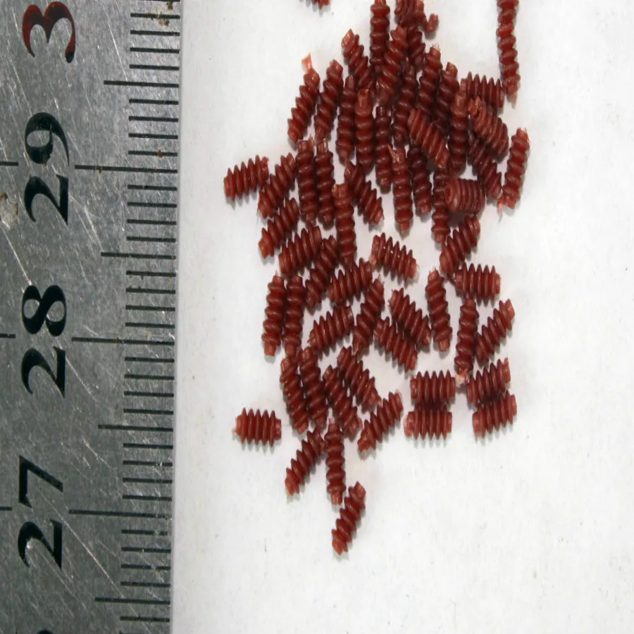 50pcs/lot Ho train model sand table contact net accessory insulator |