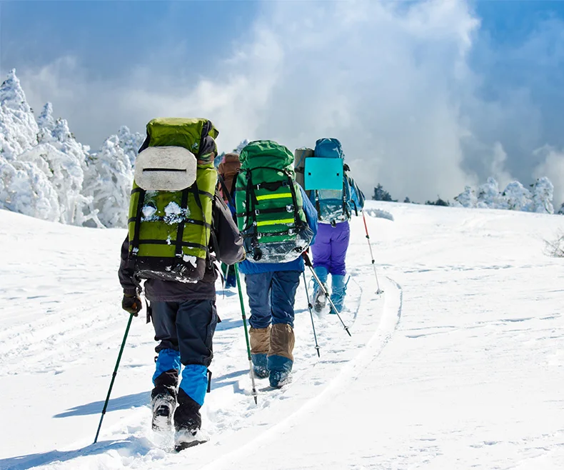 Naturehike 8 зубов 21 Зубы Нескользящие когти шипы для льда нержавеющая сталь захват лыжный снег бутсы походные альпинистские туфли крышка