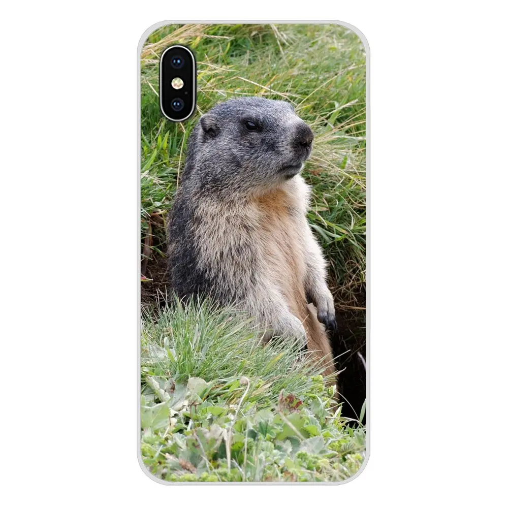 Аксессуары чехлы для телефонов Samsung Galaxy A3 A5 A7 A9 A8 Star A6 Plus 2018 2015 2016 2017 Animal Groundhog |