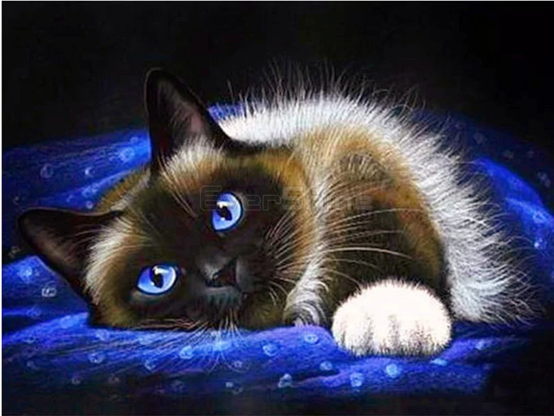 5D алмазная живопись сделай сам животное Черный кот вышивка полное круговое