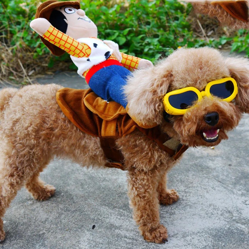 Лидер продаж костюм для верховой езды лошади собаки смешной на Хэллоуин