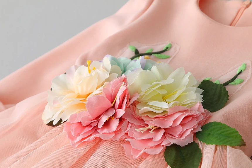 Новые Новорожденных Девочек Розовый Большой Цветочный С Длинным Рукавом Бутик