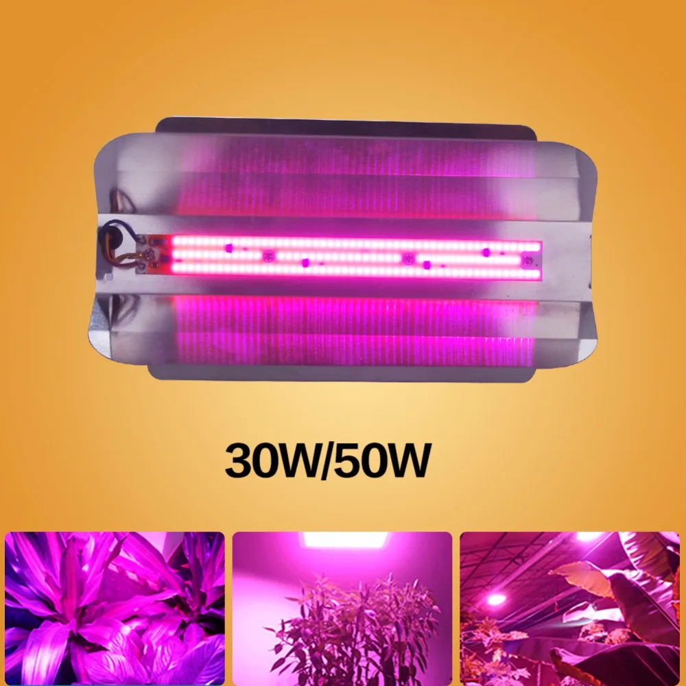 Полный спектр лампы Cob Led растут свет чип DIY 20 Вт 30 50 Крытый тент коробка сад