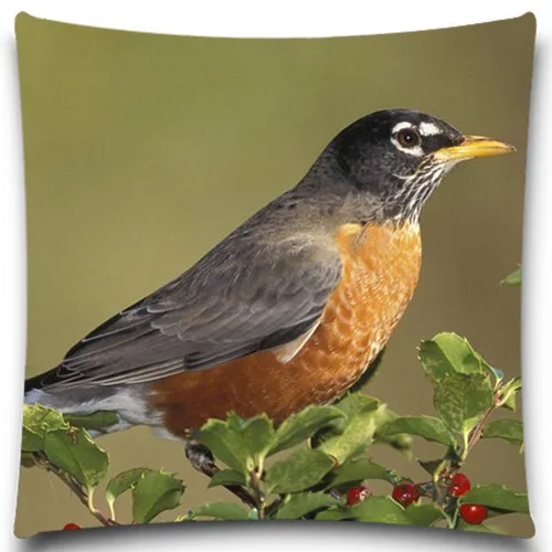 Животных птиц выгодное предложение 2016 наволочка площади сова Чехлы декоративная