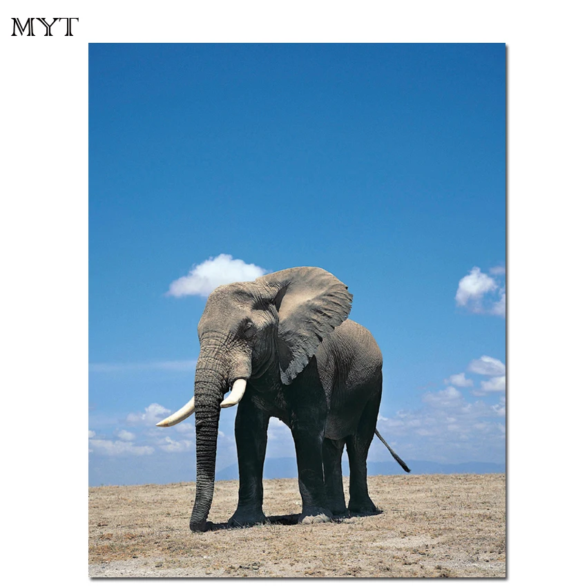 Оптовая продажа спрей живописи HD Печать Аннотация животных слон картина маслом