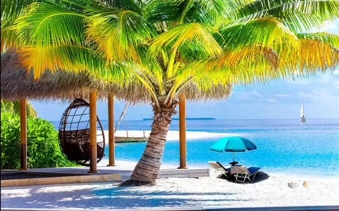 

3d wallpaper custom mural seaside scenery coconut trees paintings living room home decor 3d wall murals wallpaper for walls 3 d