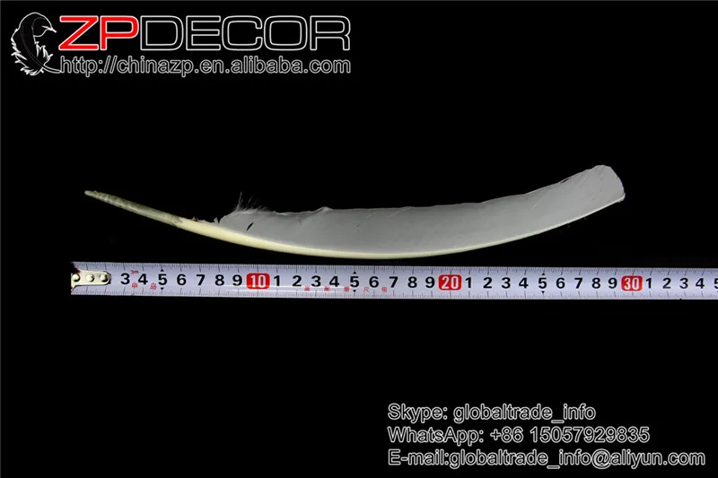 

ZPDECOR 50pieces/lot 30-35cm(12-14inch) White Bleached Stripped Turkey Quills Wing Feathers for Wedding Decoration