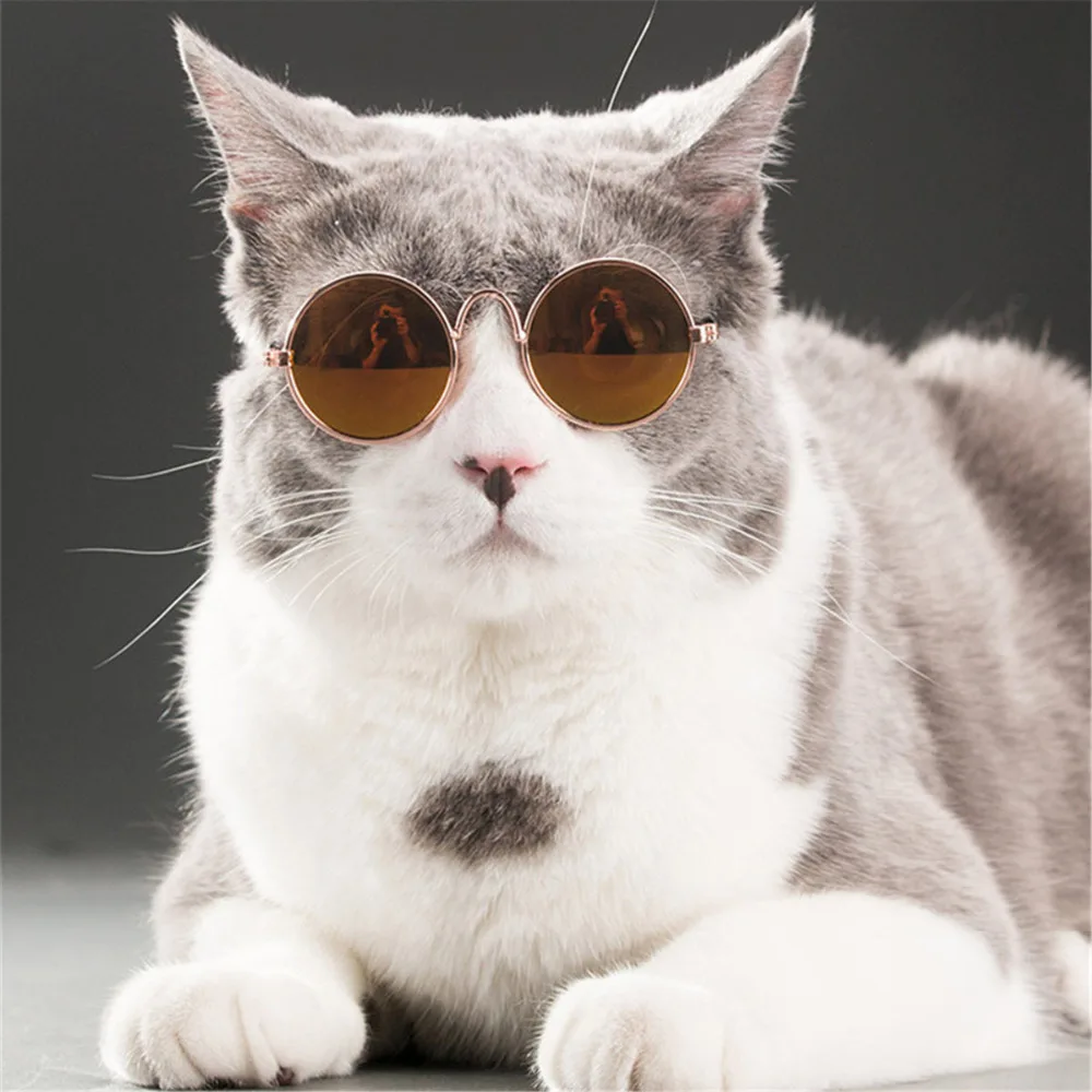 

Mini Cute Pet Cat Dog Glasses Pets Products For Little Dogs Cats Eye-wear Sunglasses goggles Photos Props Accessories Supplies