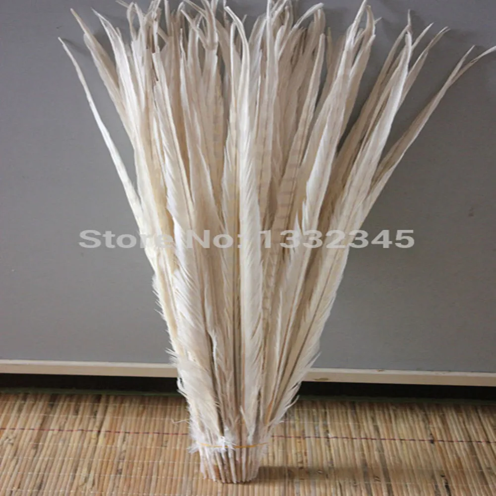 

50Pcs/Lot 20-22" 50-55cm White Ringneck PHEASANT Feather Tails Costume/Hats/Craft