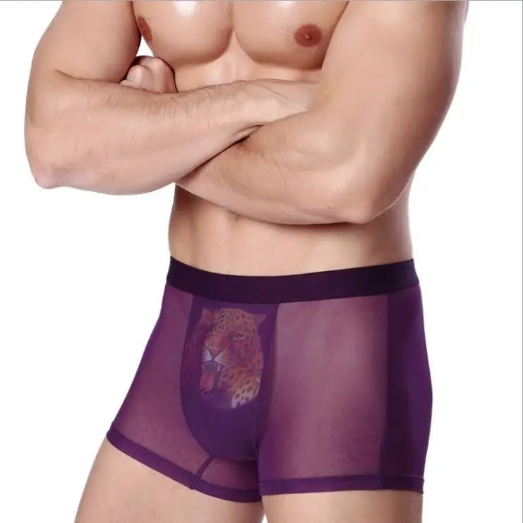 Прозрачные мужские боксеры, гей боксеры, шорты, трусы-боксеры из Ice Silk Hombre, Calecon, марлевые шорты, забавные трусы, Ethika, мужское нижнее белье - Цвет: Фиолетовый