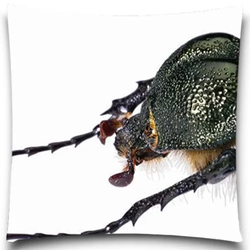 Квадратная наволочка для подушки Beetle/Spider декоративная дома офиса кофе