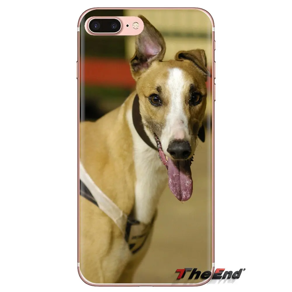galgo greyhound puppy Dog Pets For Xiaomi Redmi 4A S2 Note 3 3S 4 4X 5 Plus 6 7 6A Pro Pocophone F1 TPU Transparent Cases Covers |
