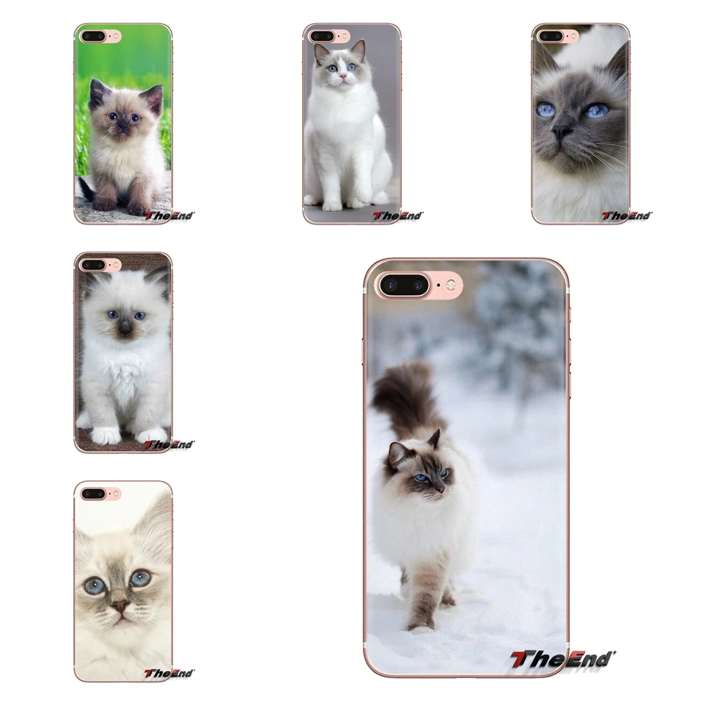 Pet ragdoll кошачьи голубые глаза прозрачные мягкие чехлы для iPod Touch Apple iPhone 4 4S 5 5S SE 5C 6 6S