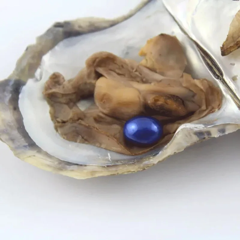Выгодное предложение 6-8 мм Овальный Форма Жемчуг культивированный Oyster с одной жемчужиной внутри(10 шт./упак