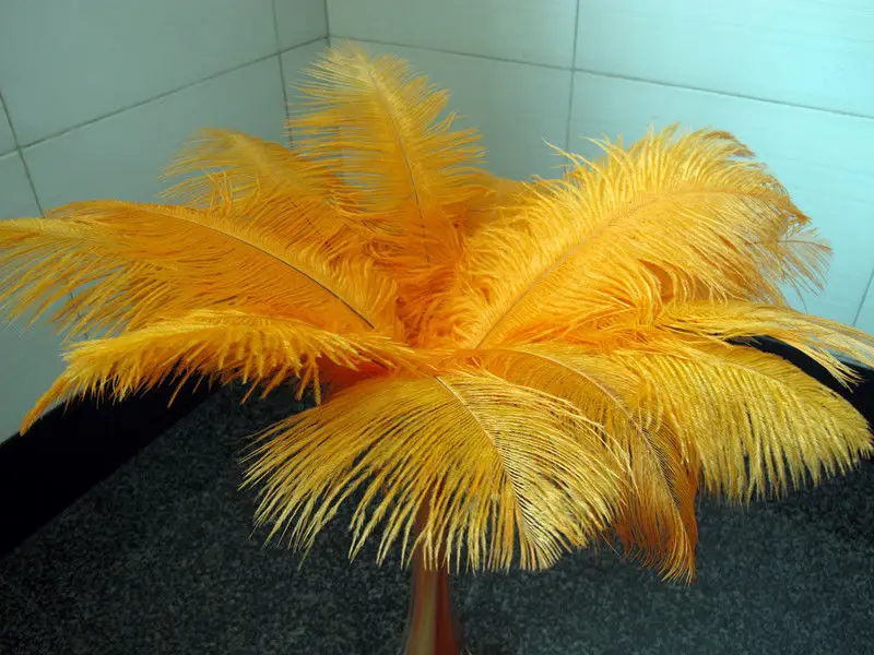

Hot! Free shipping manufacturers selling 10 PCS orange ostrich feathers 20-22inches/50-55cm