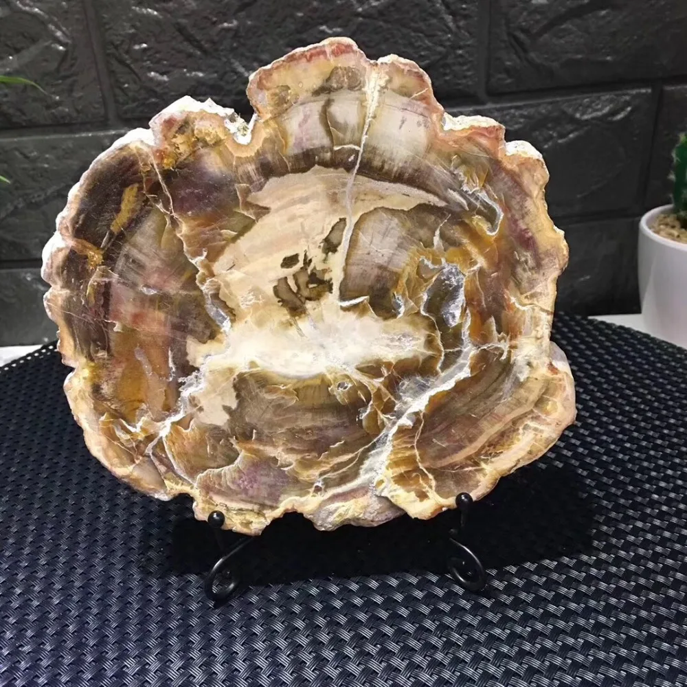 

natural stones and minerals crystal woodstone fossil tree for coaster home decoration wooden tree fossil madagascar