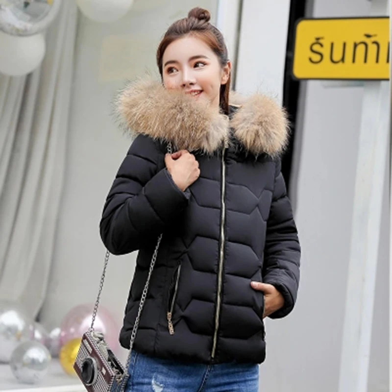 Женская короткая зимняя куртка с капюшоном длинным рукавом|Женские парки| |