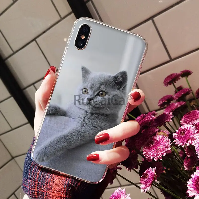 A16 Ruicaica Британский короткошерстный Кот умный чехол Прозрачный чехол для телефона для iPhone 8 7 6 6S Plus 5 5S SE XR X XS MAX чехол - Цвет: A16