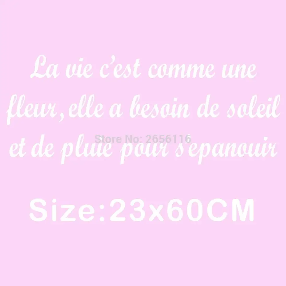 Французские цитаты La Vie Est Comme Une Fleur настенные наклейки для стены в гостиной