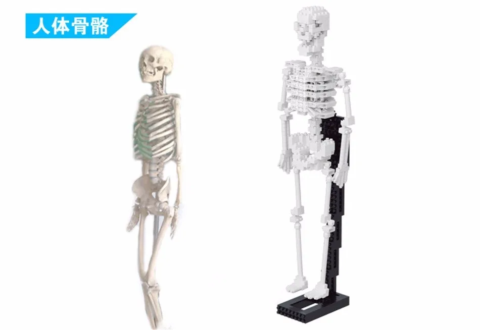 YZ алмазные блоки 3D модель скелета DIY Строительные кирпичи динозавр аукцион фигурка Тигр тело Скелет Juguetes игрушки мальчик подарок 66508