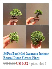 5 шт. ярлыки для растений Mid-segmented Fan-shaped Card цветок Садоводство Landmarking знак пластиковая этикетка семья Сад посадки инструменты
