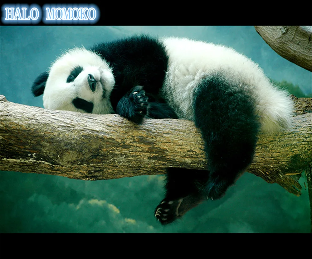 diamond painting animals diy rhinestone embroidery full needlework mosaic panda | Дом и сад