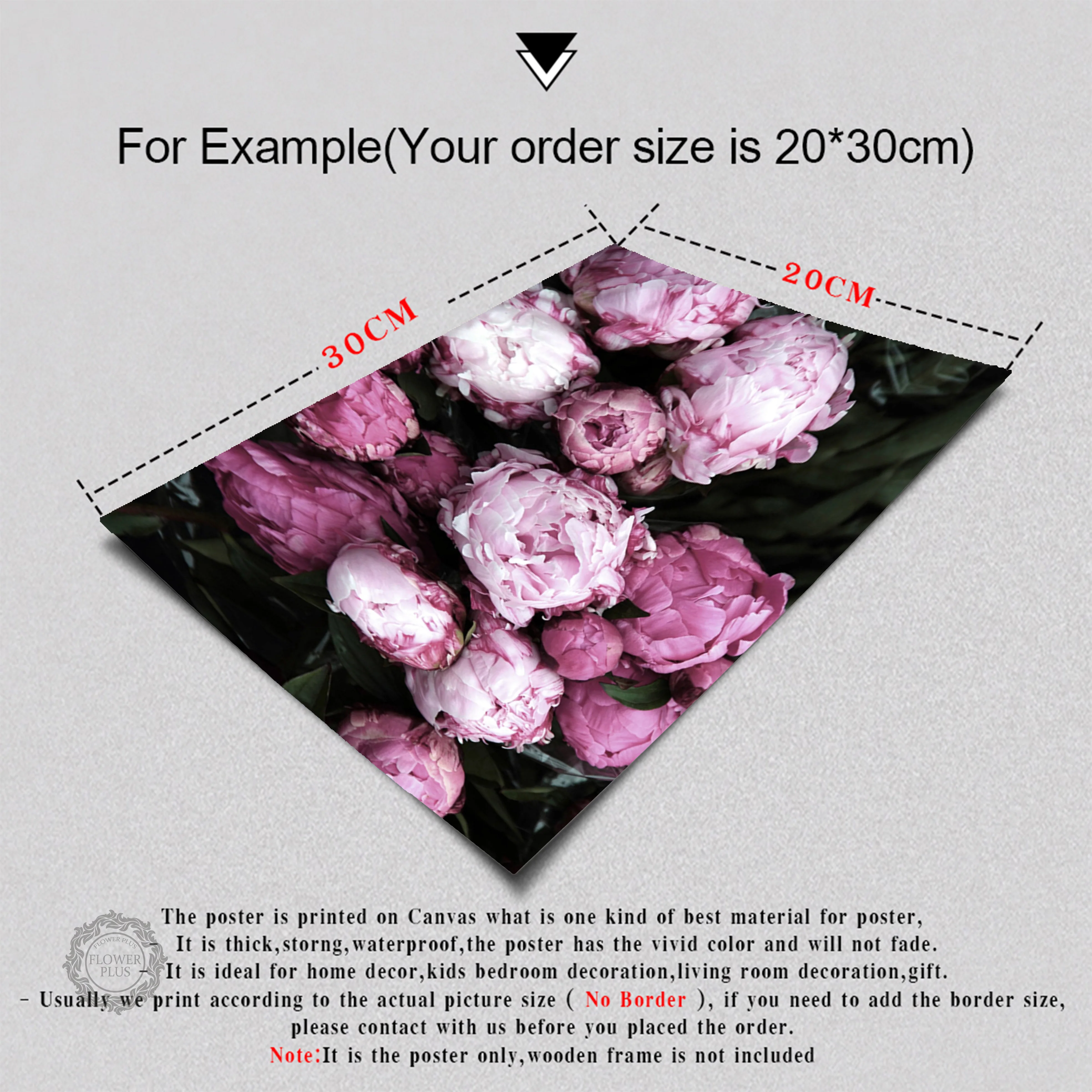 

Cuadros Decoracion Salon Peony Posters and Prints Wall Art Print Canvas Painting Flowers Wall Pictures For Living Room