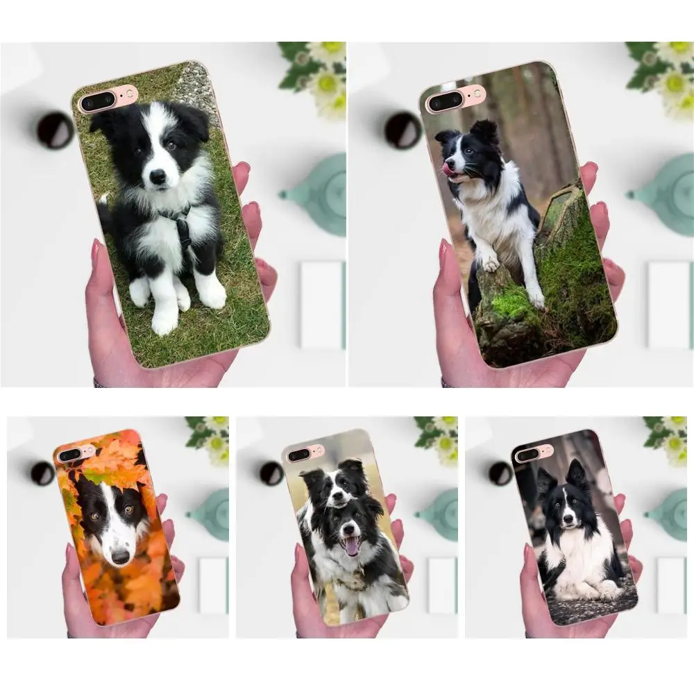 Мягкий модный чехол для Xiaomi Redmi Note 2 3 3S 4 4A 4X 5 5A 6 6A Pro Plus Border Collie Dog Breed|Бамперы| |