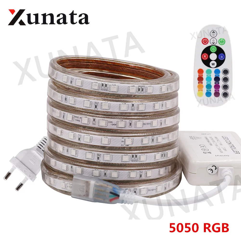 5050 RGB светодиодный светильник полосы 220V затемнения Водонепроницаемый 60 Светодиодный s/М гибкие светодиодные ленты Светодиодные ленты лампы с 24-мя клавишами пульт дистанционного управления для домашнего украшения