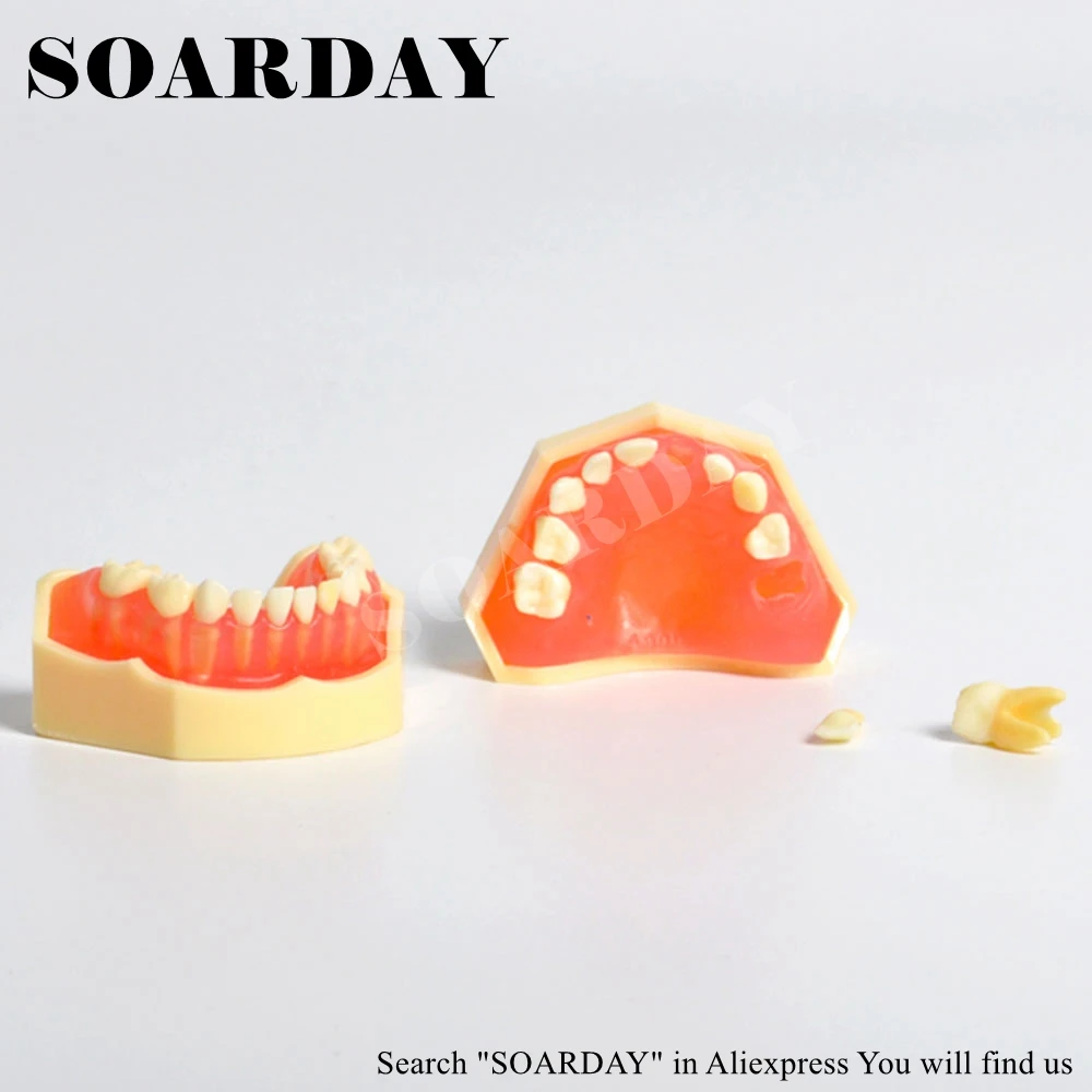

SOARDAY Standard Child Primary Teeth Model Teeth Removable Soft Gums