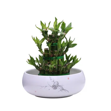 

Drop shipping Chinese Style Hydroponics Ceramic Flower Pot,Balcony Green Plant Flower Pots,pots for flowers,bonsai plant pots