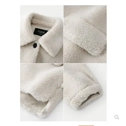 

Women's Wear 2020 New Winter Korean Style Loose Turn-lapel Thickened Short Simulated Lamb Suede