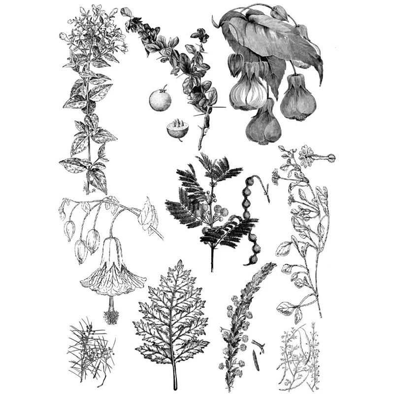 Комплект из 2 предметов Черная Птица Рисование набросков DIY Uncut украшения для