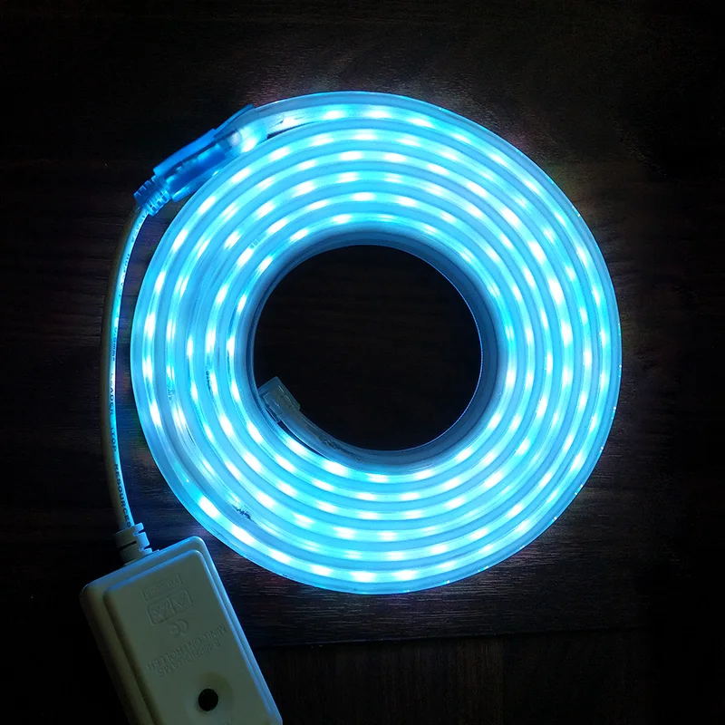 Цветная (RGB) Светодиодные ленты гибкие неоновые полосы светильник SMD5050 Flex AC220V 60