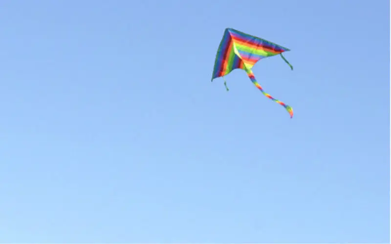 Нейлоновый радужный длинный хвост для спорта на открытом воздухе|triangle kites|kite