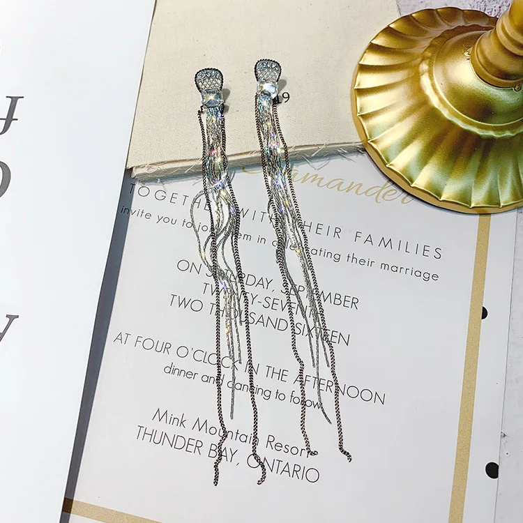 

Temperament long chain tassel earrings female Korean style long simple earrings