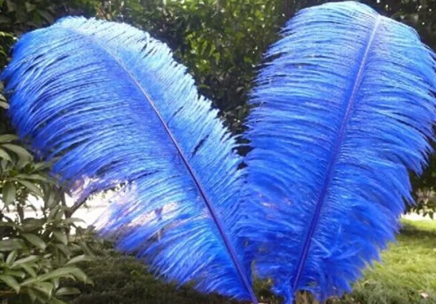 Горячие 10 шт Свадебные дни рождения натуральные перья страуса 10-12 дюймов/25-30 см