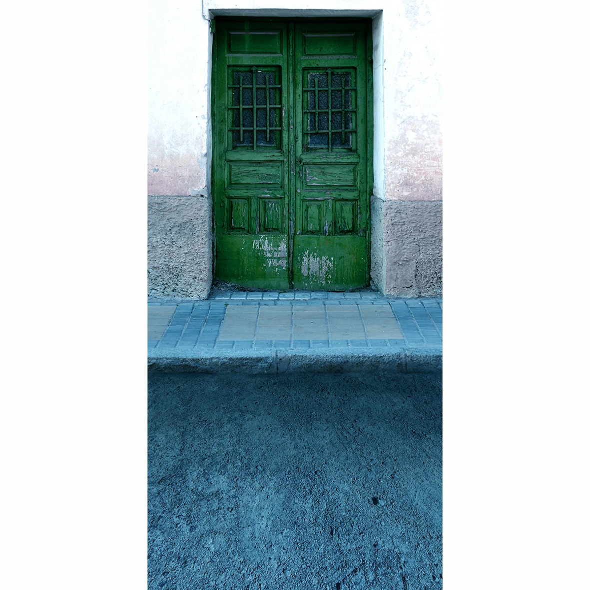 Allenjoy photographic background Cement stone brick green wooden door classic new backdrop photocall photo printed customize | Электроника