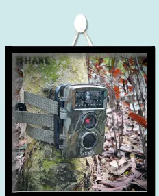 Airsoft АК винтовка слинг Тактический 47 Quick Release пистолет слинг ремень Регулируемый Камера пушка слинг Плечевой ремень