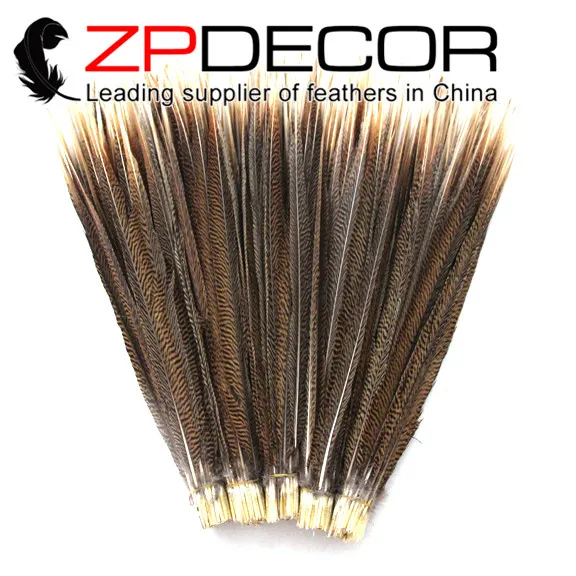 

ZPDECOR 50-55 см (20-22 дюйма) 50 шт./лот хорошее качество натуральные золотые перья из хвоста фазана дешевая распродажа для карнавала украшения