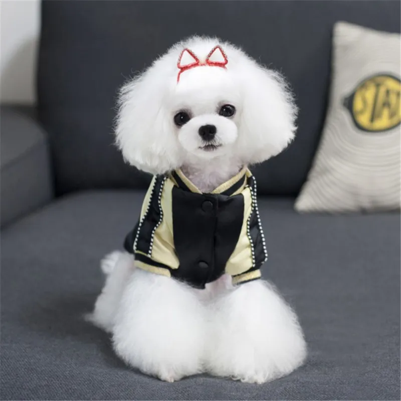 Новинка пальто для домашних животных куртка собаки Вышивка Тигр Весна Осень Зима