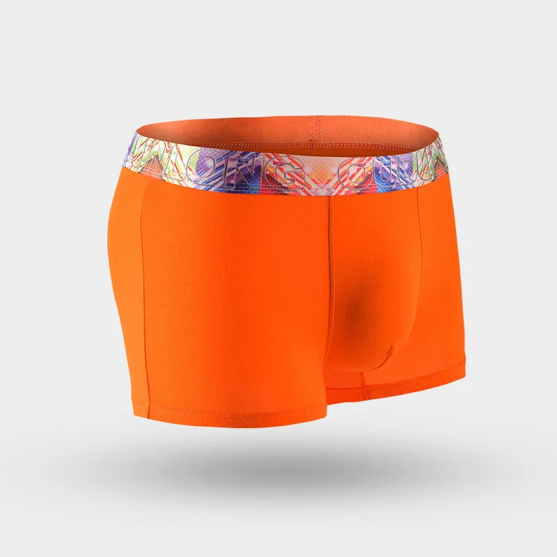 New Men Underwear Gift Box 4pca/lot Soft Breathable Modal Boxer Brand Designer Male Mens Underwear Boxers AU350 Wholesale