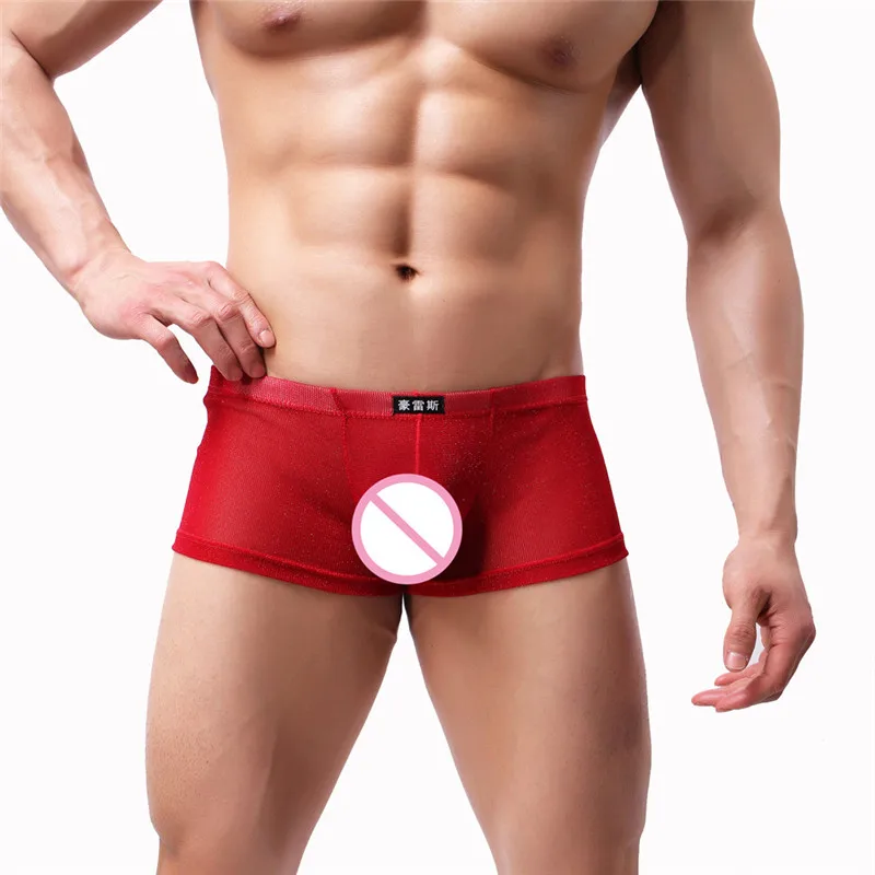 6PCS Men's Mesh Boxers Sexy Underwear Transparent Nylon See-Through Gay Male Underpants Panties Thin Breathable Gauze Net Boxers