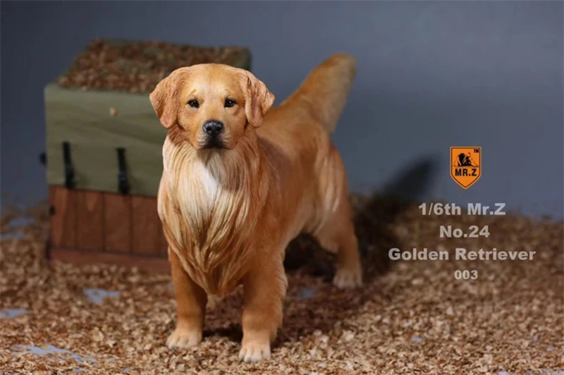 

Mr.Z 1/6 Scale Solider Figure Scene Accessories Golden Retriever Animal Dog Model Toy for 12'' Action Figure Collections