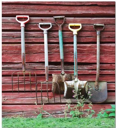 Винилбдс фон для фотосъемки Ретро деревянная стена зеленый луг ржавый Лопата