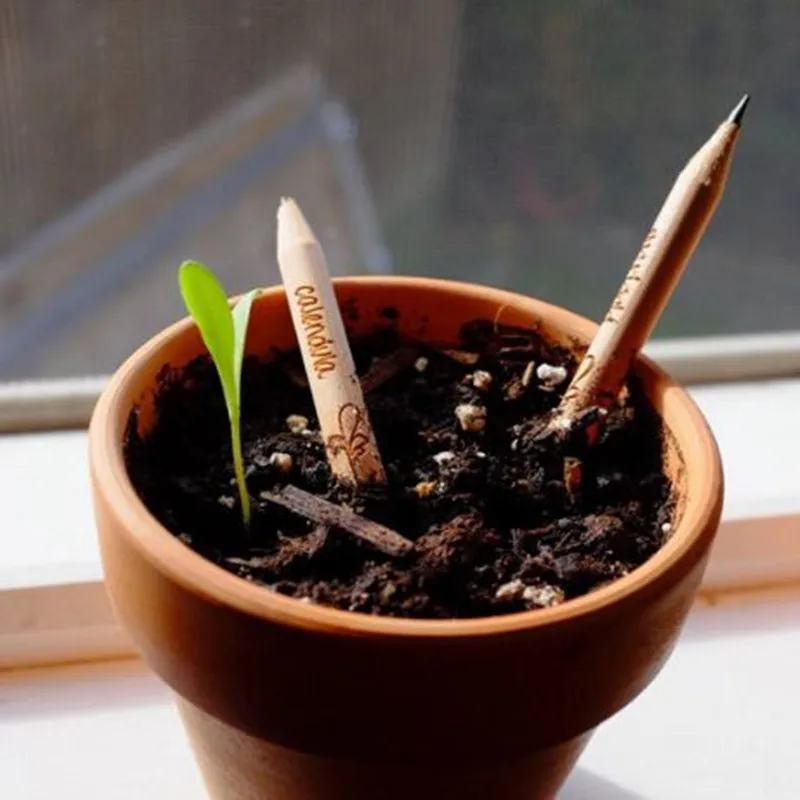 Coloffice 8PSC/набор креативный может быть посажен карандаш Budding в горшке DIY 8 шт.