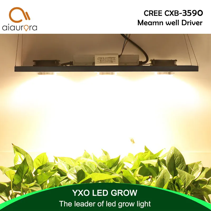 

CREE CXB3590 300W COB LED Grow Light Full Spectrum LED Lamp 38000LM = HPS 600W Growing Lamp Indoor Plant Growth Panel Lighting