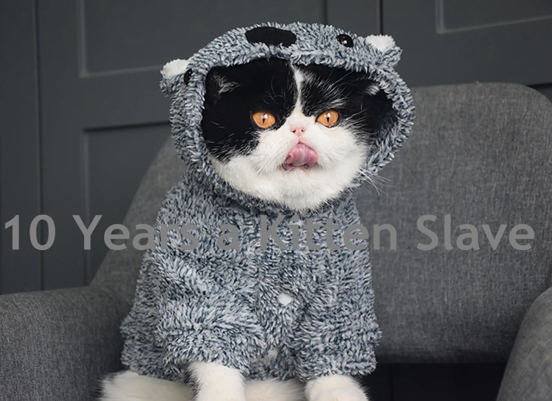[MPK Cat Wear] толстовка из кораллового флиса, подходит для кошек и собак, сохраняет тепло ваших питомцев в холодное время года